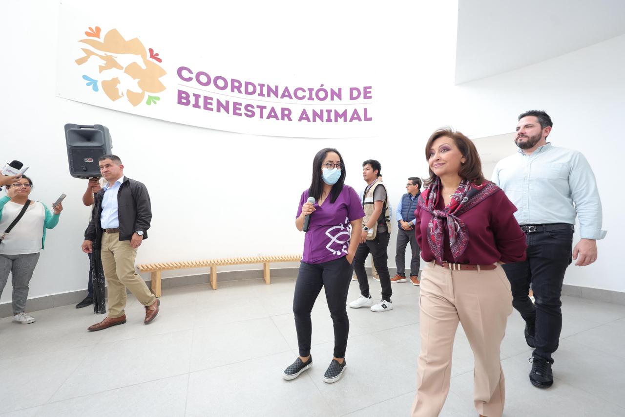 Supervisa gobernadora instalaciones y funcionamiento de la Clínica de Bienestar Animal